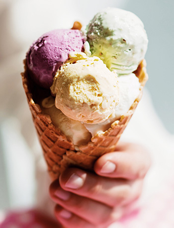 Counter Top Fridge Franchise